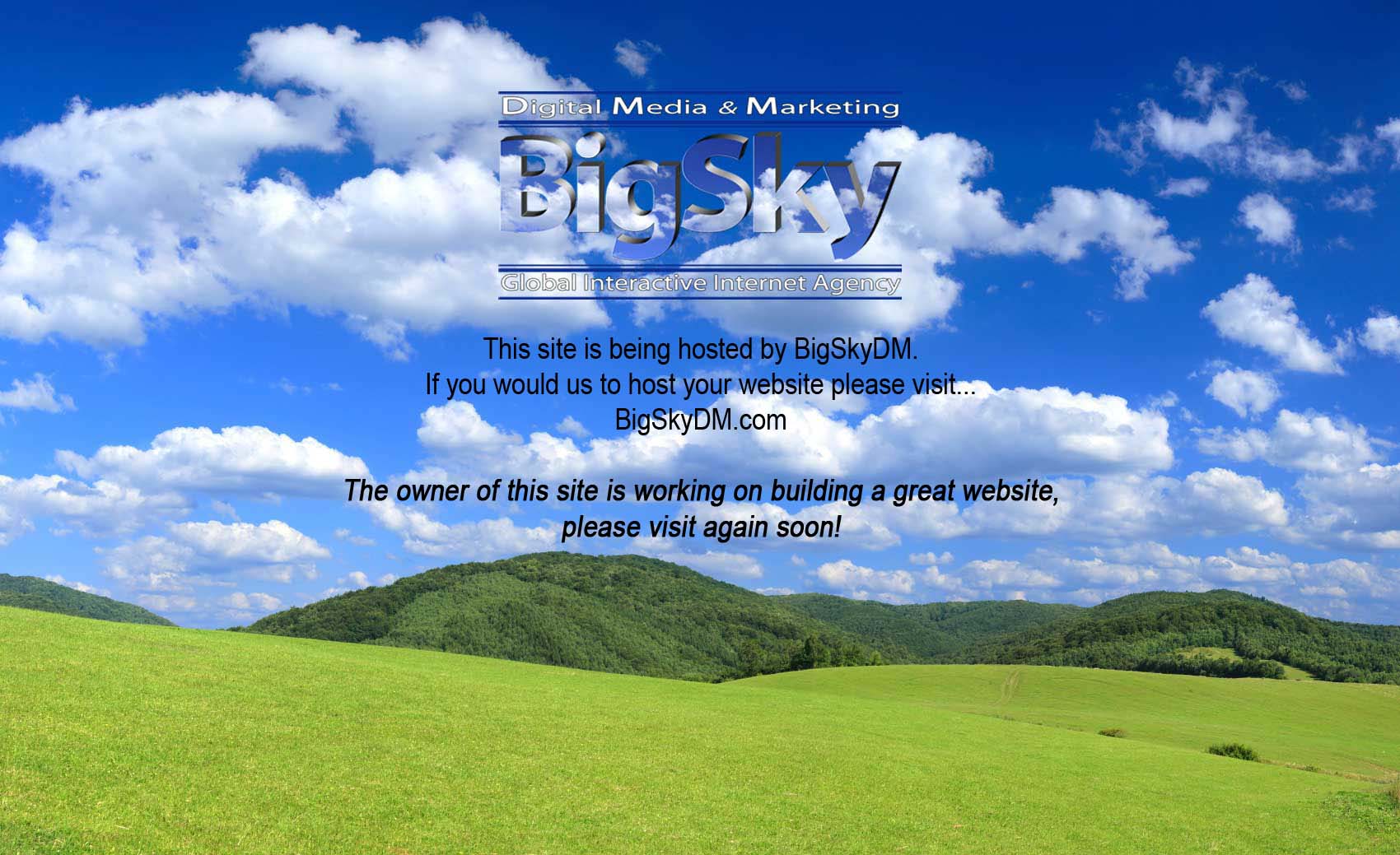 BigSkyDM Logo